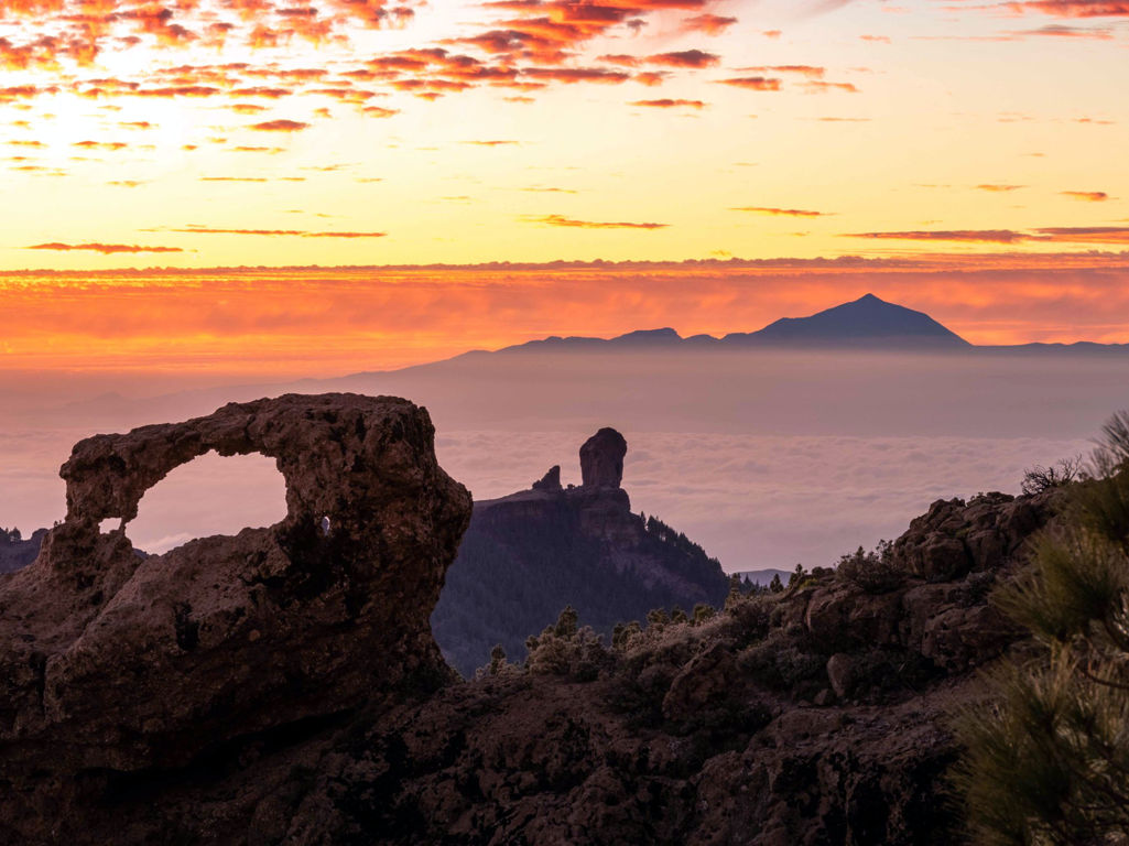 actividades relacionadas con la naturaleza en Gran Canaria